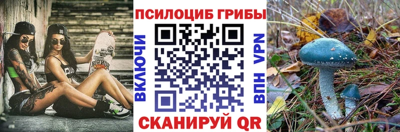 mega ТОР  Иланский  Псилоцибиновые грибы Cubensis 